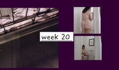 WEEK 20 2024 WEEKEND TRAVELS RECAP AND FEEDING