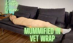 Kitty Quinn Mummified In Vet Wrap HD 1080p MP4