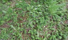 Donna's Buttcrack in the Park