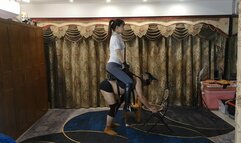 FrideM013_Step on stirrup sit on saddle hold the reins and become ponyslave of beautiful master