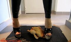 Tall 90kg amazon - From chicken to minced meat crush fetish in wedges sabot