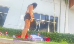 LAY THERE LIKE A BITCH VOL 4 FV