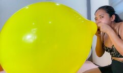 Sexy Stella Senually Blows To Pop yoir BIG Yellow Tuftex 17 Inch Balloon