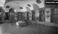 Naked Came the Stranger