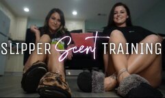 Slipper Scent Training