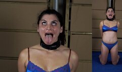 Sexy or Shocks: Bella Luxx