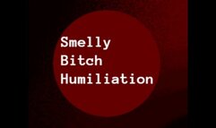 Smelly Bitch Humiliation