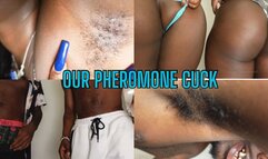 Our Pheromone Cuck