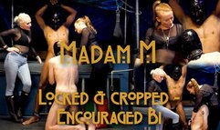 Locked & cropped, bisexual encouragement & humiliation with mouth wide open