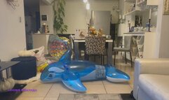 Owllete heel pops inflatable whale