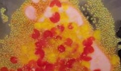 Barefoot Underglass Baby Tomatoes Crush