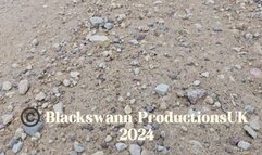 Mystical Woodland Witch and Swann