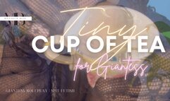 Tiny Tea Time for Giantess