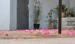 Spying Goddess Stella on flip flops from behind