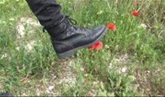 Grass and little trees trampling with boots