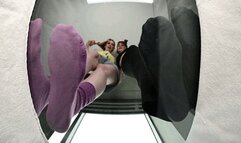 Goddess Charlie and Brookyln Bully are your new trainers! - MOV