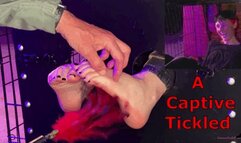 A Captive Tickled - Smokin Rose Foot Tickling Slave Tickling Feet in Stocks Tickling Domination Male Tickling Female Tickling Challenges Caged Woman HDMP4