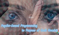 The NLP toolbox: Behavioral Recalibration and Psycho-Sexual Programming to Purpose of Cock Worship