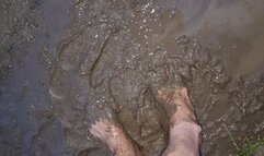 Barefoot Mud Walking HD 26th may 2024