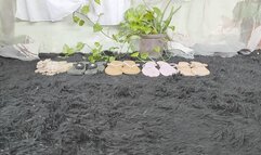 Stephanie super sexy flip flops change and modeling