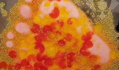 Barefoot Underglass POV Baby Tomatoes Crush