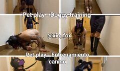Pet play - Doggy training