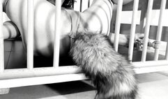 My kitty love to cum and squirt - Bondage pussy and ass playing Bdsmlovers91