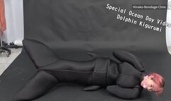 イルカ着ぐるみ????Dolphin Kigurumi ????