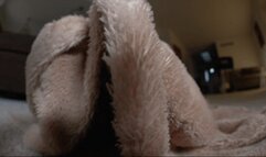 In And Out From Blanket, 2nd