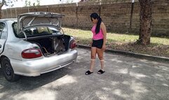 They bite me on my feet and legs when I cleaned my car's suitcase and scratched me until the itching stops (3)