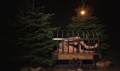 Double Strapon blowjob - DT, Lesbian, Milf, Fetish, Nudity, Strapon