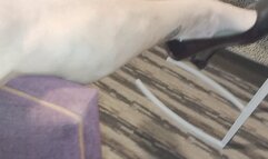 Tempest in heart heels