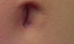 Closeup Belly Button Joi