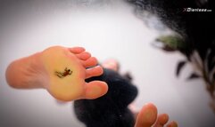 Gentle Giantess Stepsister cares about Horny Shrunken Stepbrother