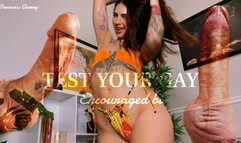 Test Your Gay Encouraged Bi