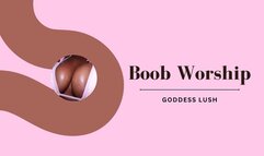 Oiled Boob Worship
