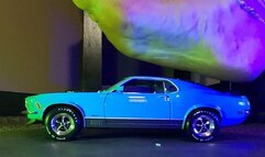 Erin's Slow Foot Blue Mustang Mashup