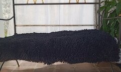 Shescamore admire my sublime high heels