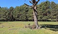 Bullwhip inferno in The Spanish Sierra by Madame Catarina and Goddess Milah FULL VERSION