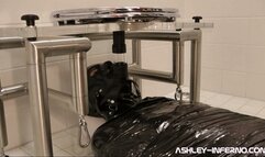 A toilet slave fantasy