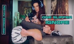 ONE SLIPPER IGNORE