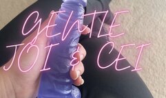 Gentle JOI & CEI For My Little Pet