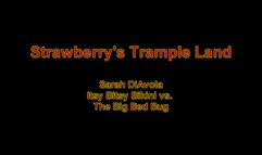 Sarah DiAvola Itsy Bitsy Bikini vs The Big Bed Bug