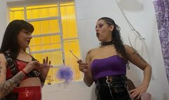 Cleaning the teeth of pigs at home with friends Madame Aghata and Kali