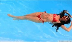 A Sequel to " Greedy Femme Fatale " - Diabolical Daphney Strikes Again ! -Mov 1920x1080p