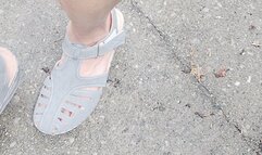 Tempest walking around in garden center