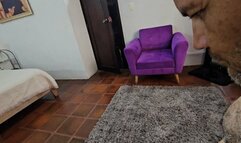 Beg for mercy by Mistress Balbina