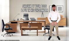 shrunk by your boss & put in his underwear