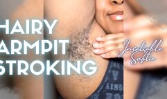 POV Hairy Armpit Stroking