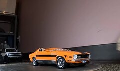 Erin's Slow Foot Wedges Mustang Mashup